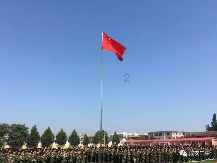 寻找萌小老虎